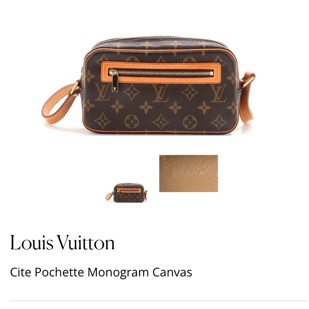 Louis Vuitton Monogram Canvas Cite Pochette